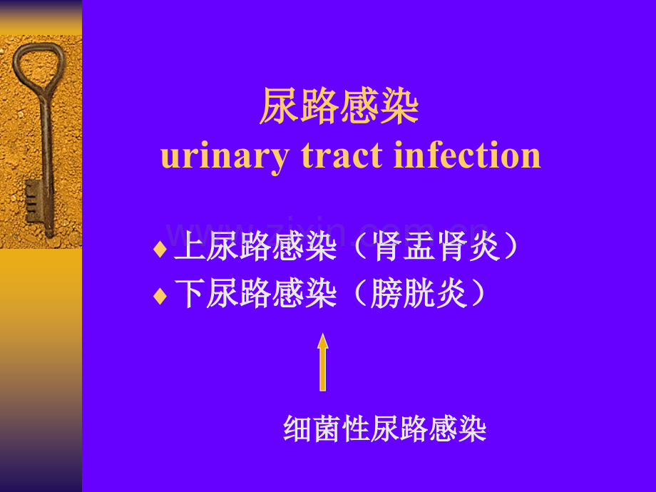 常见疾病病因与治疗方法——尿路感染.pptx_第1页