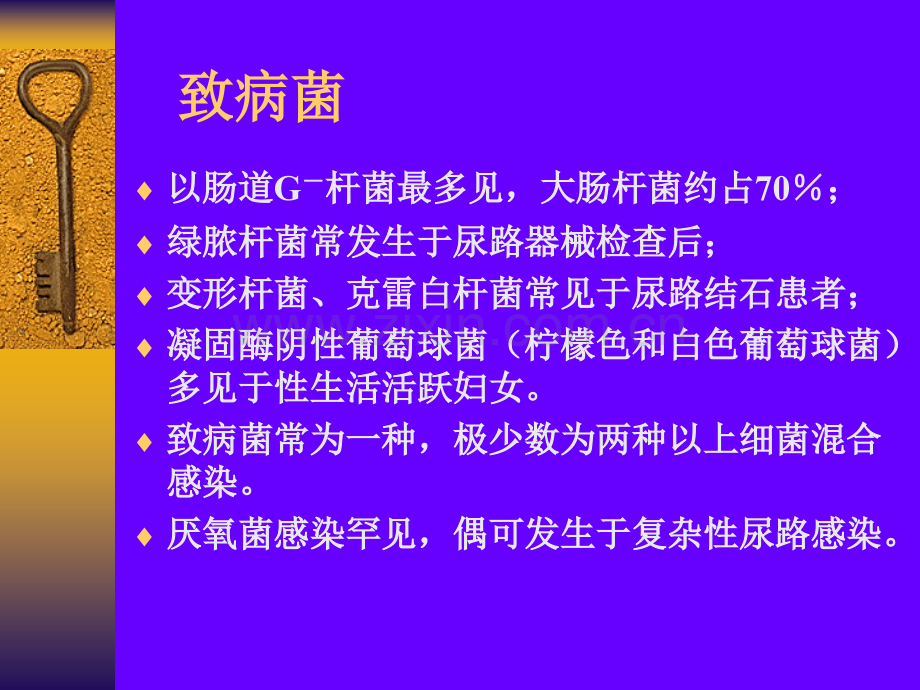 常见疾病病因与治疗方法——尿路感染.pptx_第3页