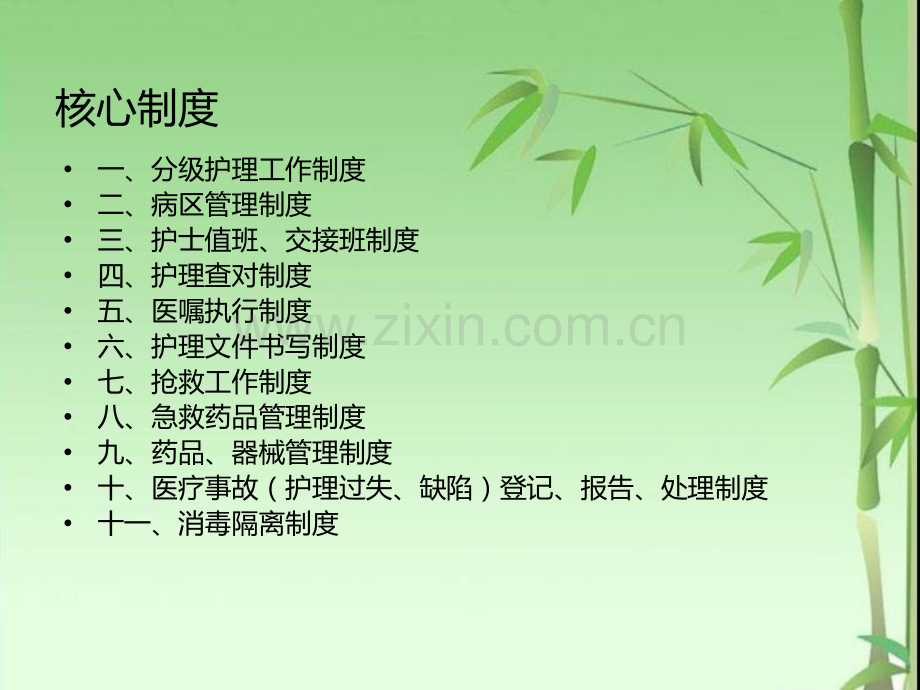 护理管理制培训.pptx_第2页