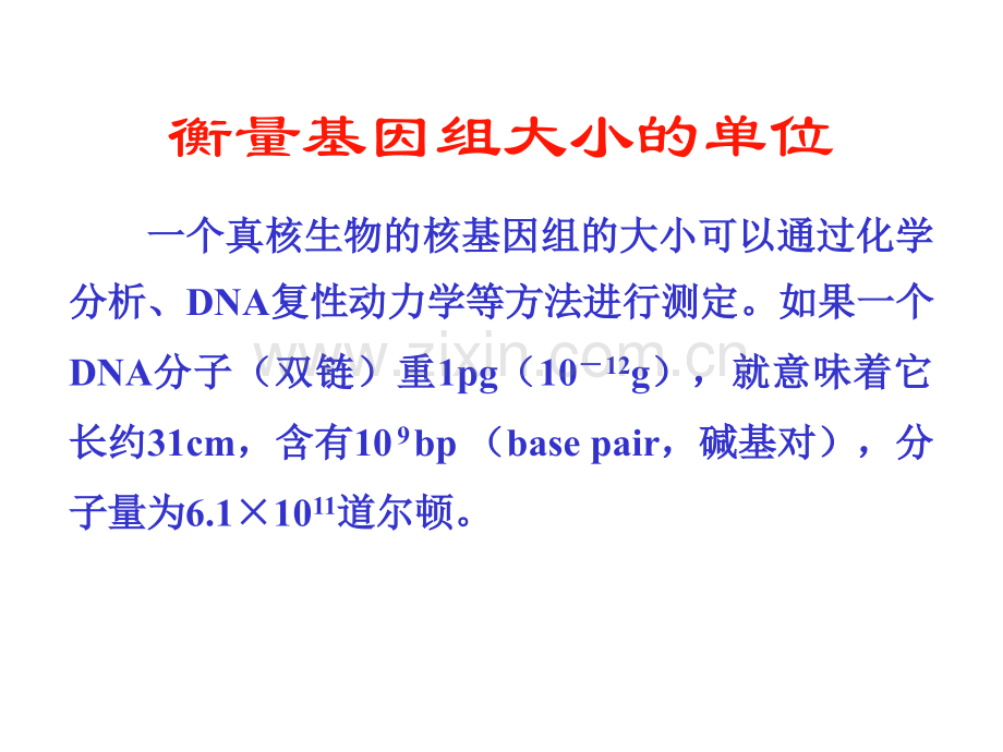 分子生物学细胞核基因组.pptx_第3页