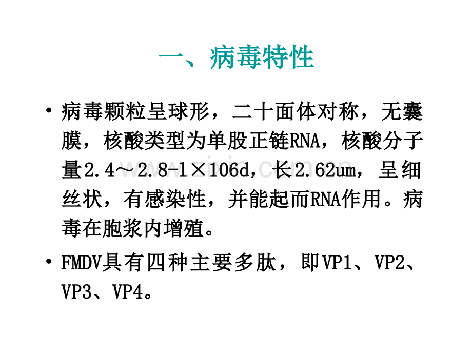 口蹄疫病毒.pptx_第1页