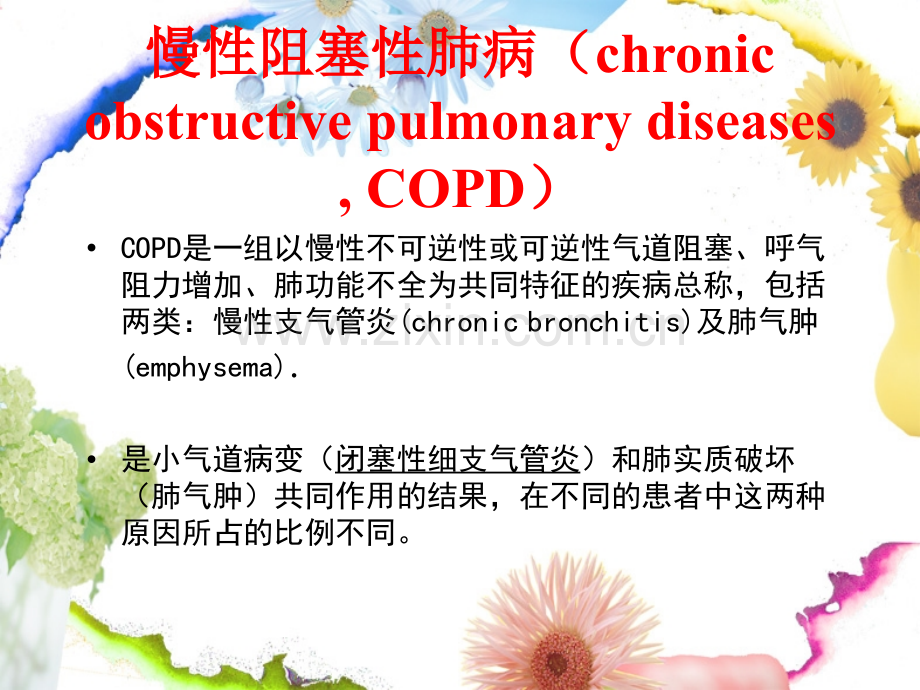 慢阻肺呼吸衰竭的护理.pptx_第3页