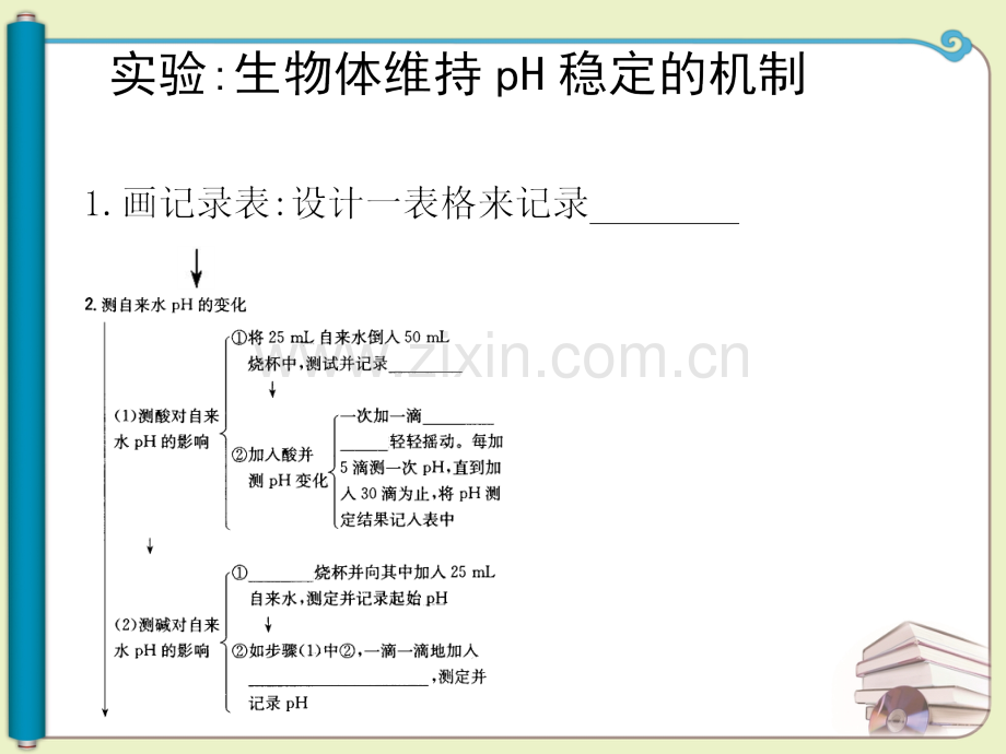 实验生物体维持PH稳定的机制.pptx_第3页