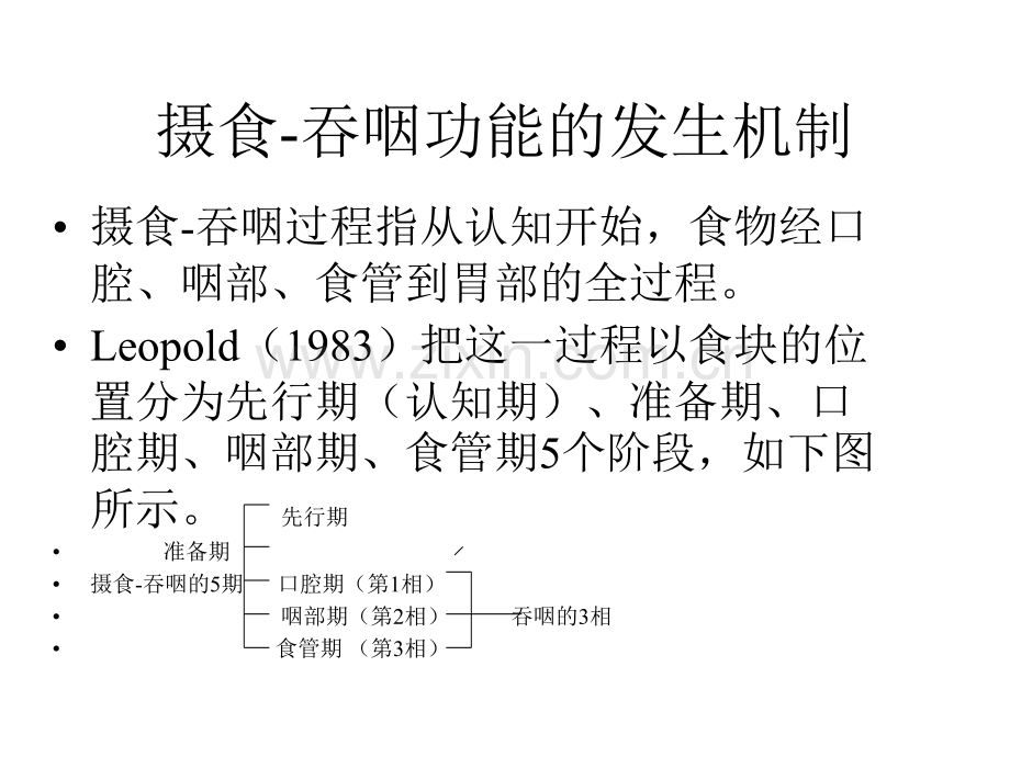 摄食吞咽障碍的评定与治疗.pptx_第2页