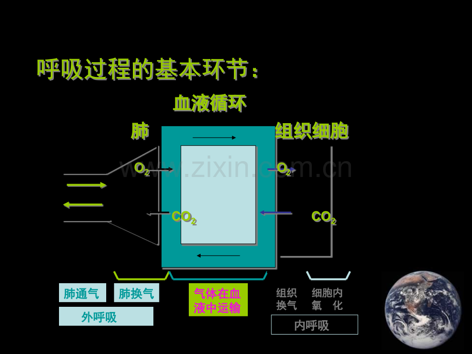 呼吸机应用大全.pptx_第2页