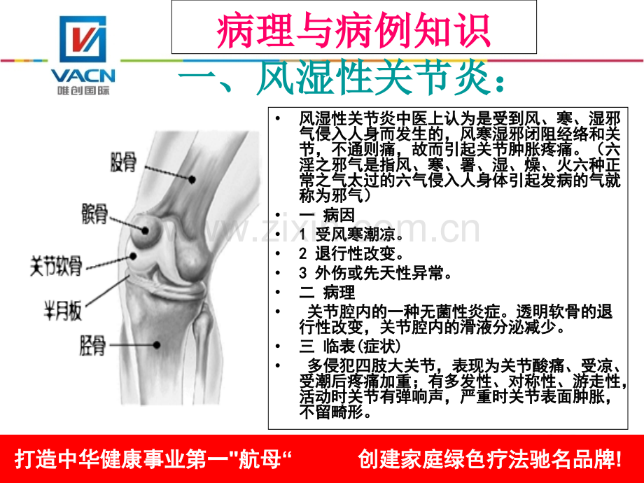 唯创岗前培训病理知识.pptx_第1页