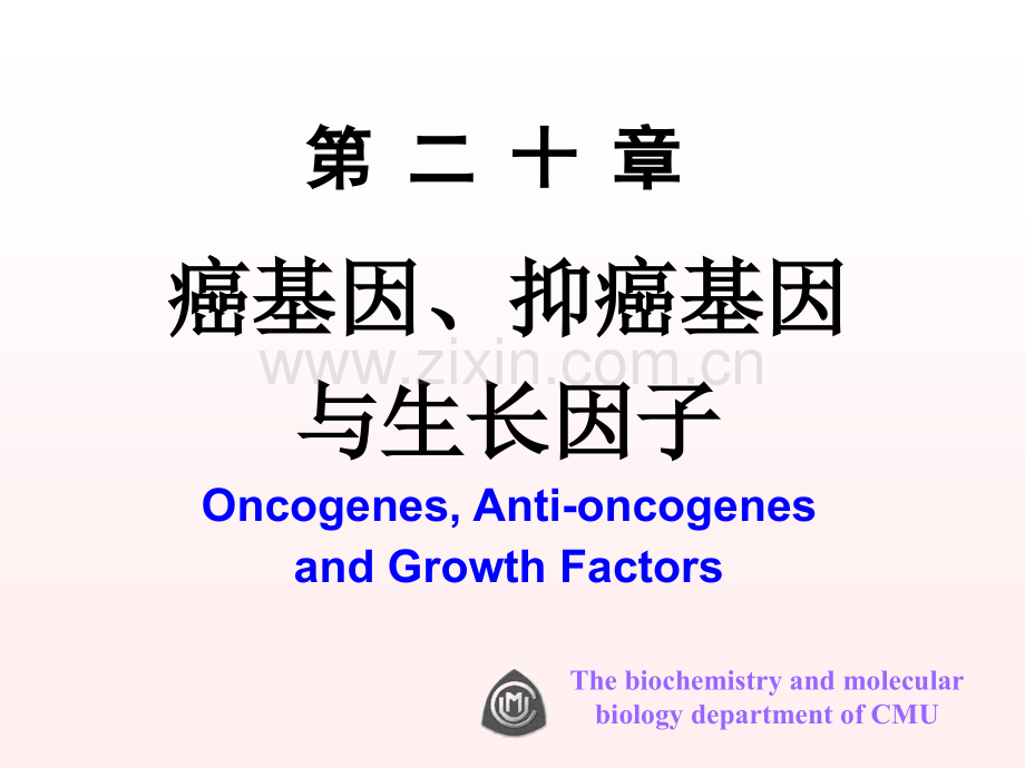 动物生物化学课件.pptx_第1页