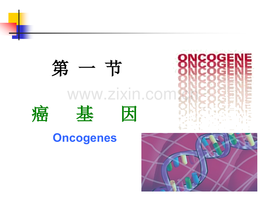 动物生物化学课件.pptx_第3页