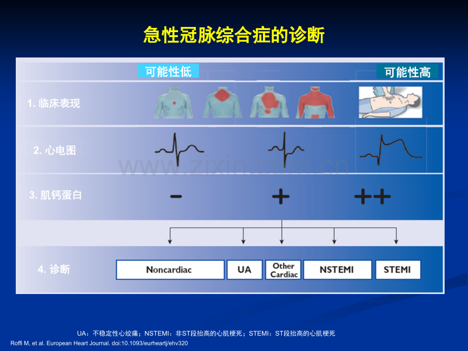 危险分层与规范化诊疗.pptx_第3页