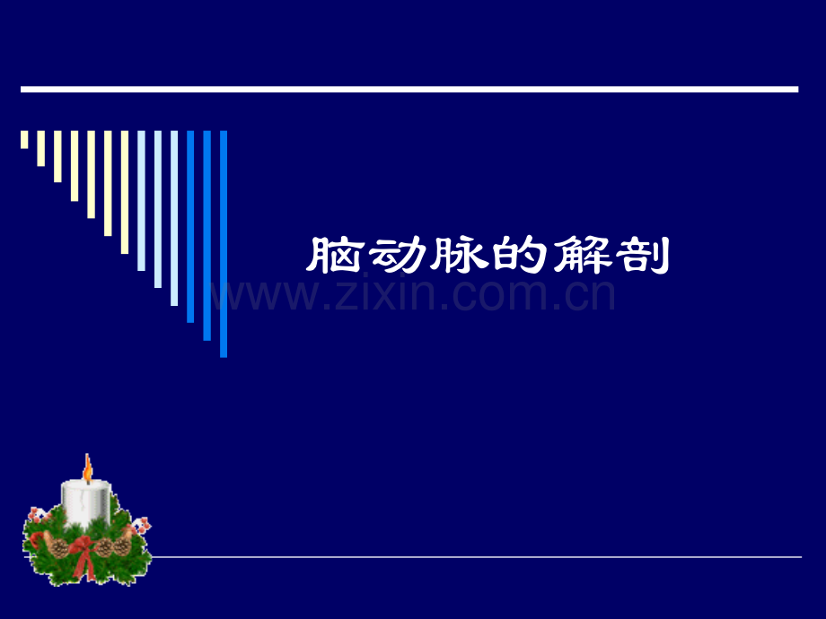 大脑动脉的解剖.pptx_第1页