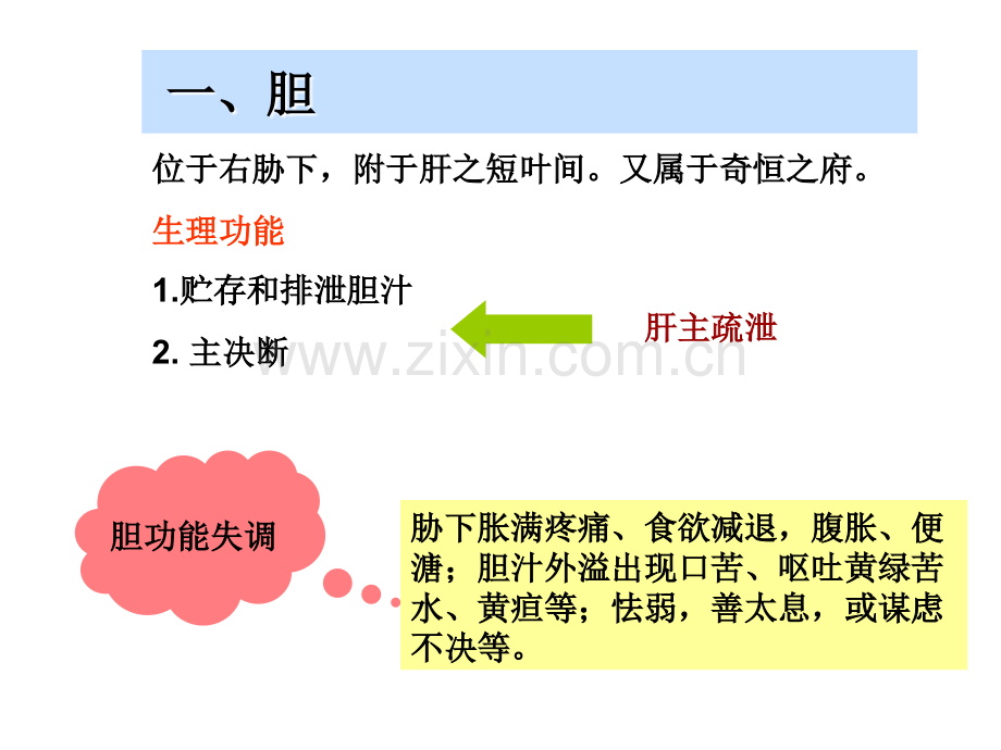 广中医-中医基础理论-六腑与奇恒之腑(精.pptx_第3页