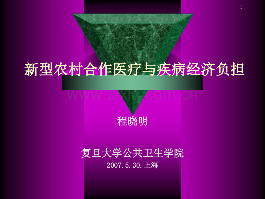 新型农村合作医疗与疾病经济负担.pptx_第1页