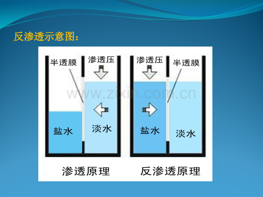 反渗透VS超滤陈静.pptx_第3页