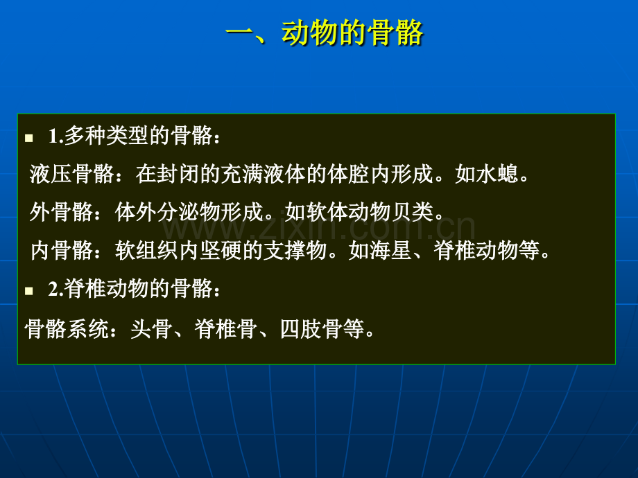 动物如何运动1.pptx_第2页