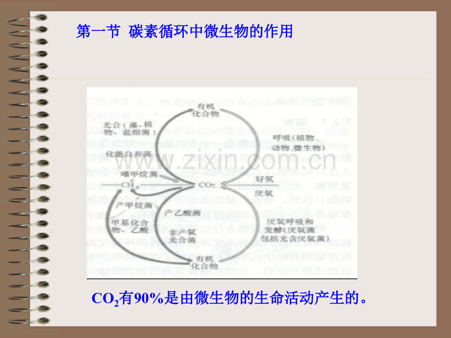 微生物在自然界碳氮素循环中的作用2010秋季.pptx_第3页