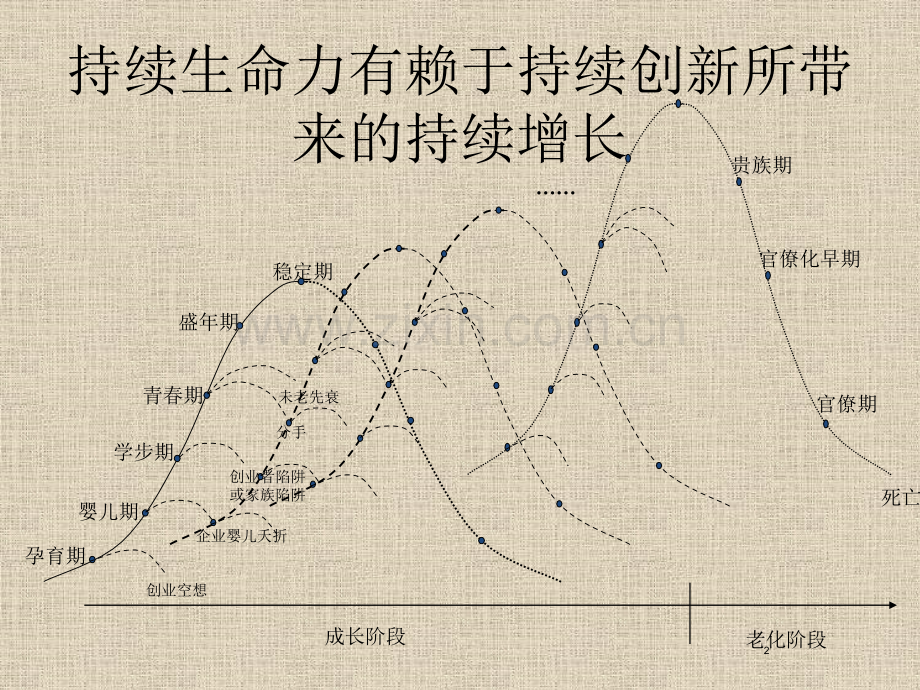 建设具有持续竞争力的公司经营与绩效.pptx_第3页