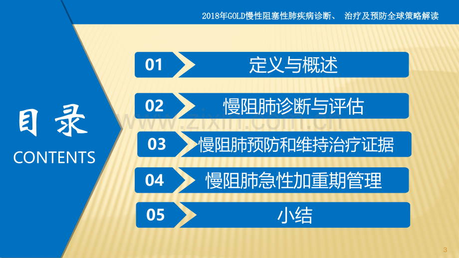 慢性阻塞性肺疾病诊断治疗及预防全球策略.pptx_第3页