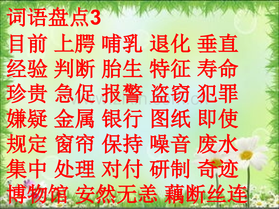 六年级毕业词语总复习五六年级词语盘点.pptx_第3页