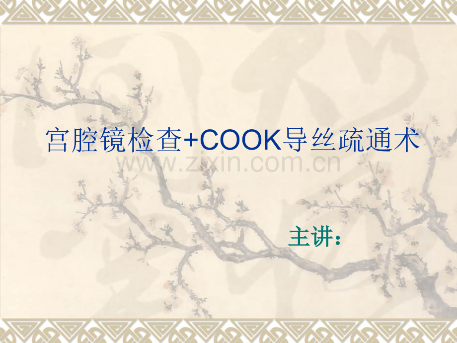 宫腔镜检查COOK导丝.pptx_第1页