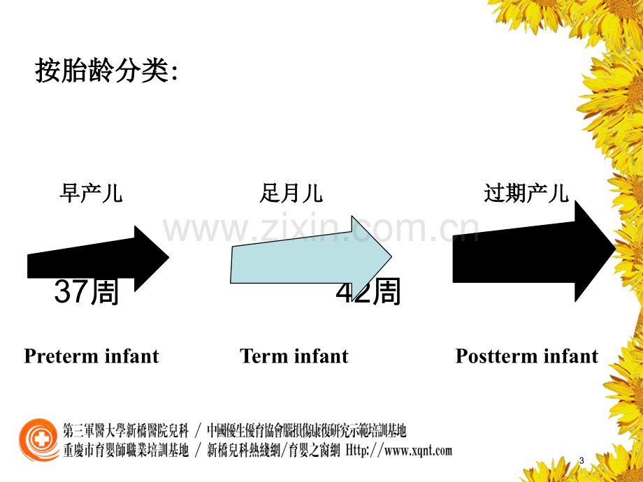 新生儿的日常生活照料及护理.pptx_第3页