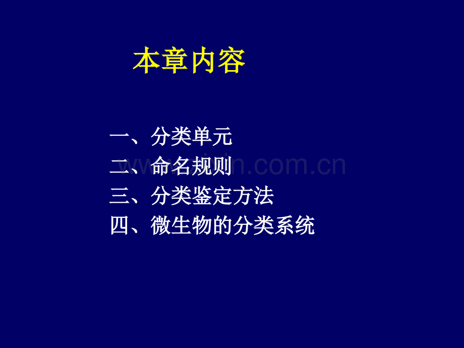 微生物分类与鉴定工业微生物学课件.pptx_第2页