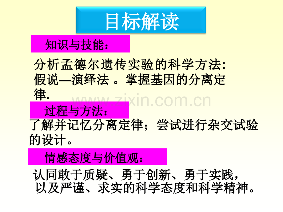 孟德尔的豌豆杂交实验2.pptx_第2页