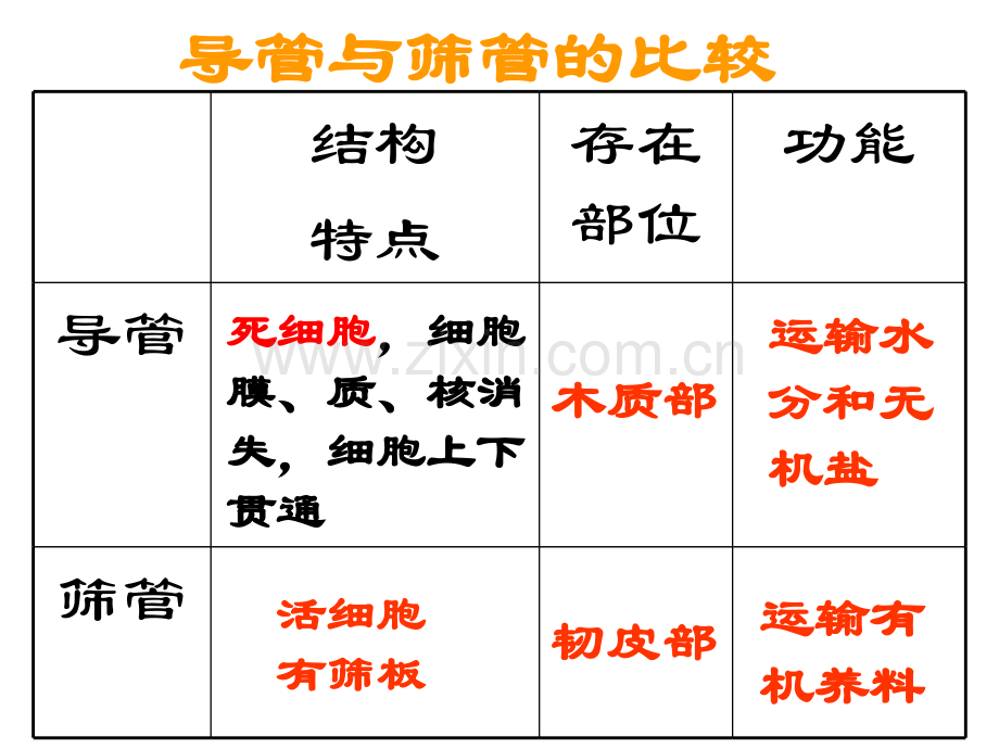 初一下学期生物复习重点精.pptx_第1页