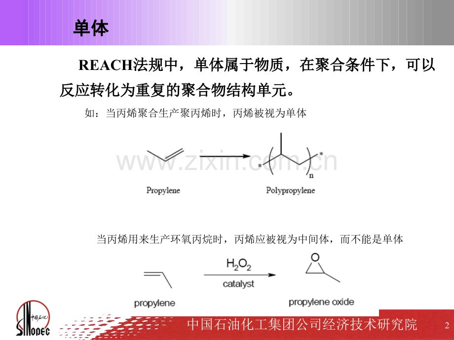 单体和聚合物.pptx_第2页