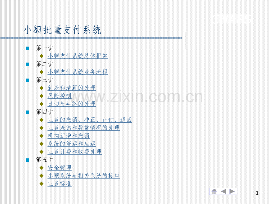 大小额支付系统.pptx_第2页