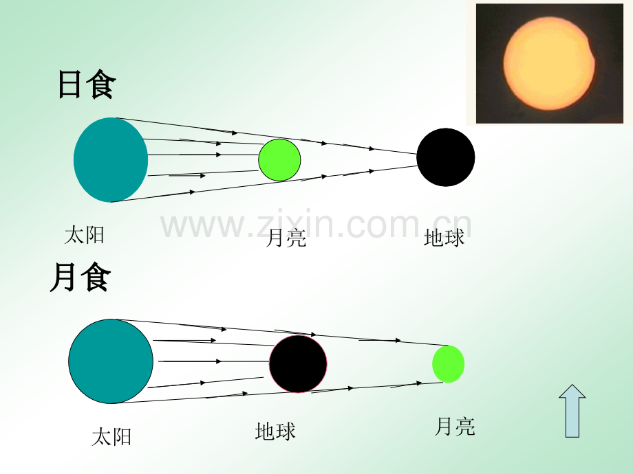 初中物理光总复习共52张.pptx_第2页