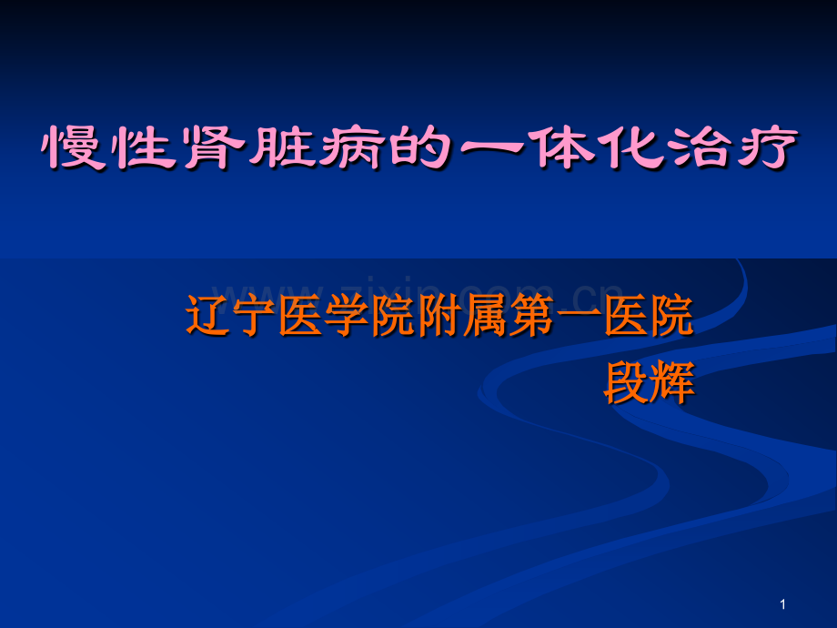 慢性肾脏病的一体化治疗.pptx_第1页