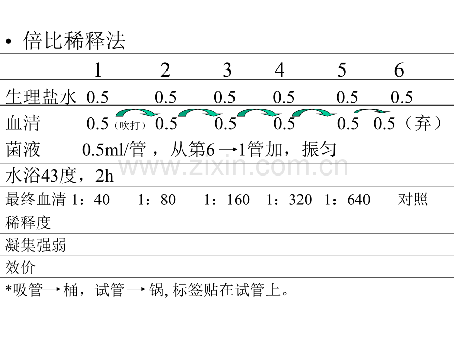 微生物与免疫学试验六七年制.pptx_第3页