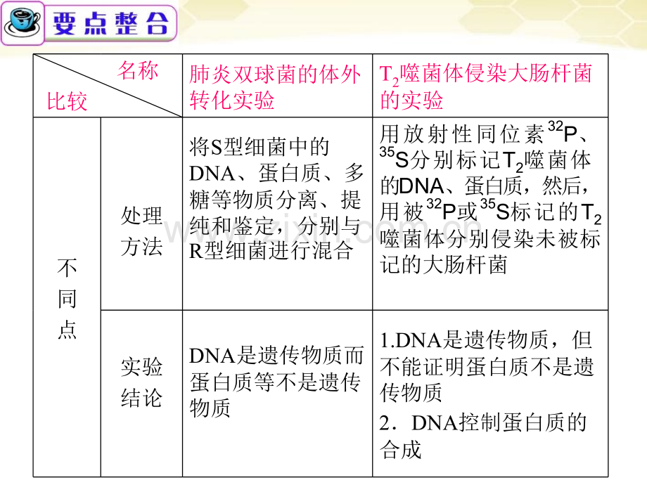 广东省高考生物二轮总复习时遗传分子基础.pptx_第3页