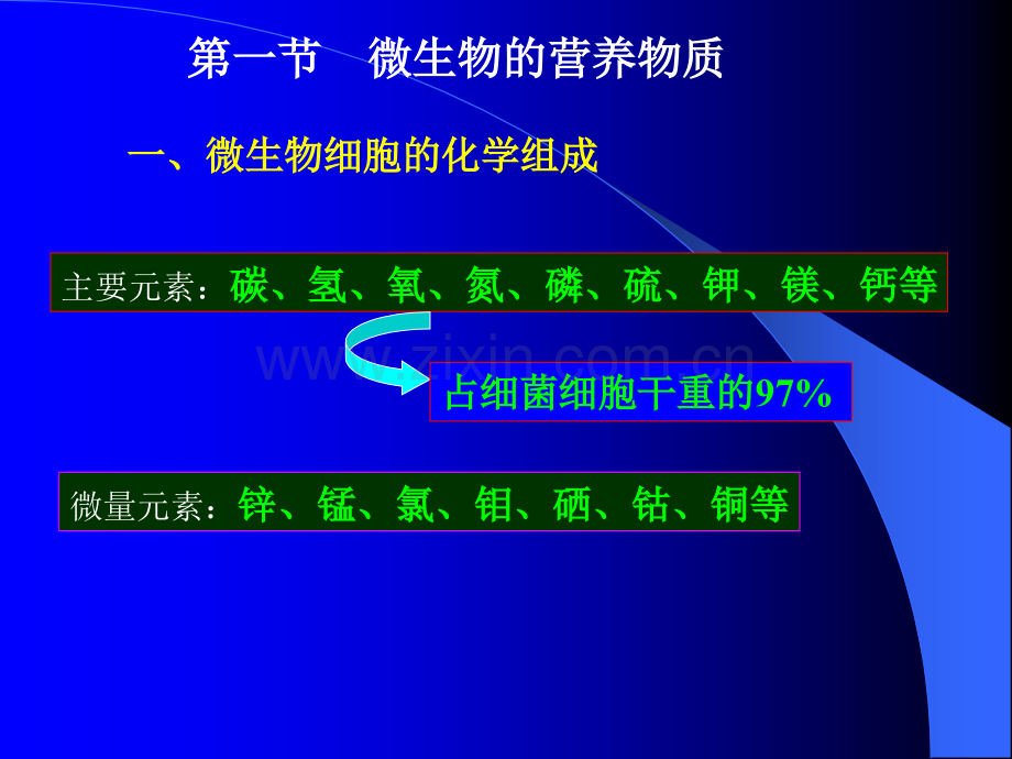 微生物学微生物的营养与培养基.pptx_第3页