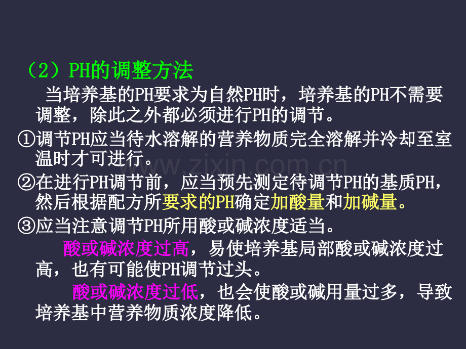 微生物吸收营养物质的方式.pptx_第2页