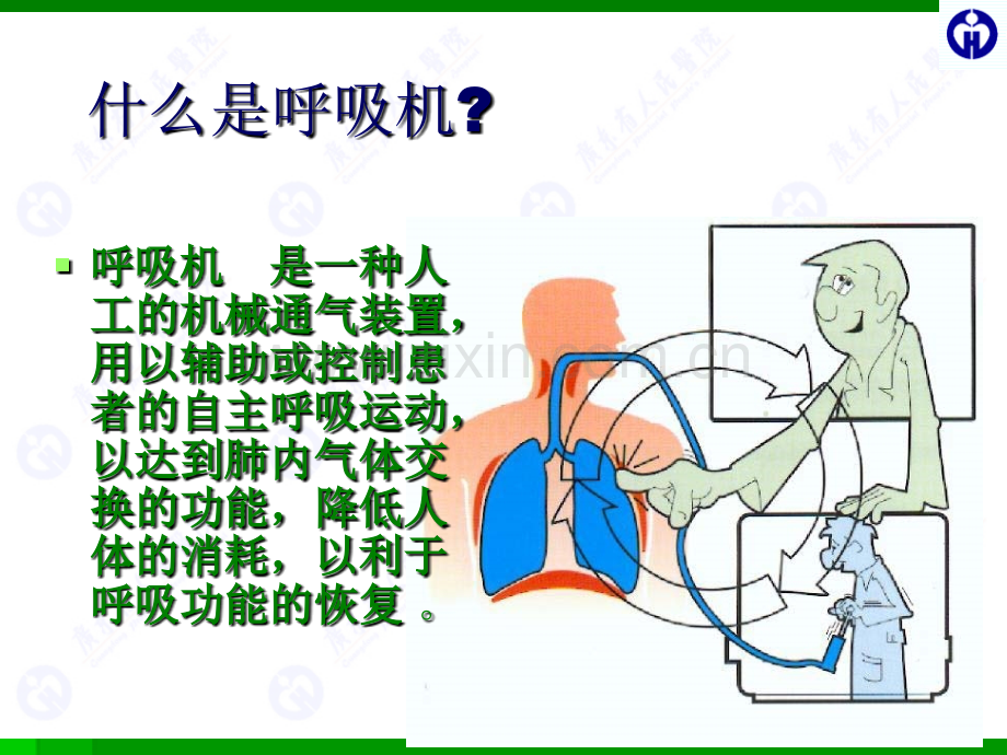 呼吸机病人护理.pptx_第2页