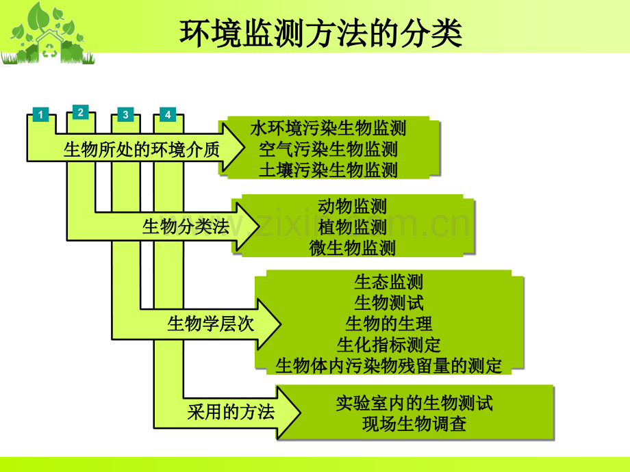 环境污染生物监测.pptx_第3页