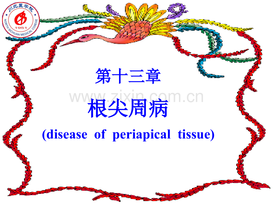 口腔牙体牙髓病学根尖周病的临床表现及诊断.pptx_第1页