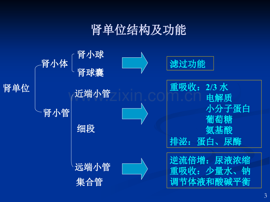 慢性肾衰竭复旦上课.pptx_第3页