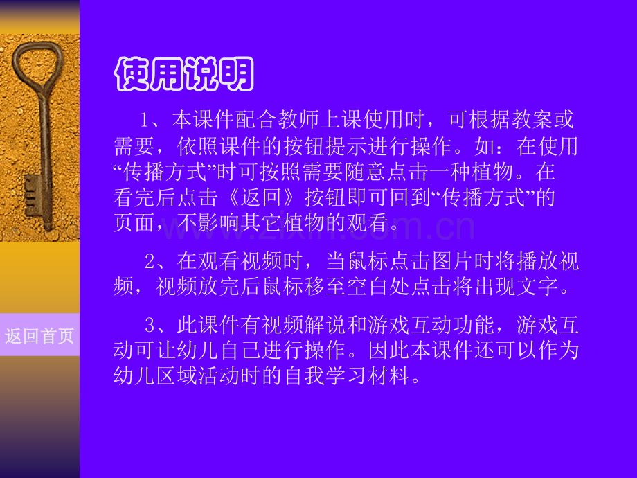 大班科学活动种子的传播.pptx_第2页