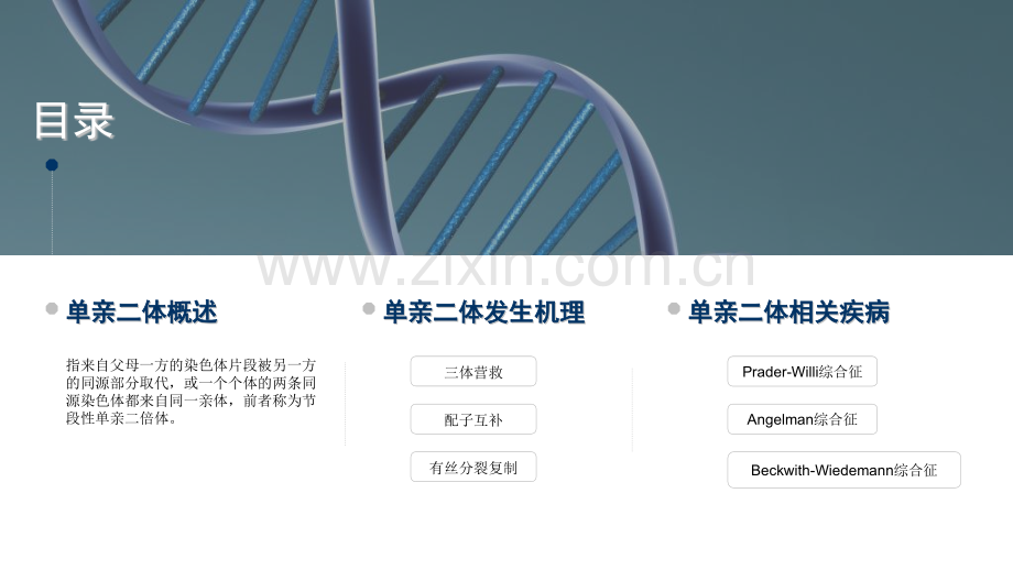 单亲二体产前诊断中心.pptx_第2页