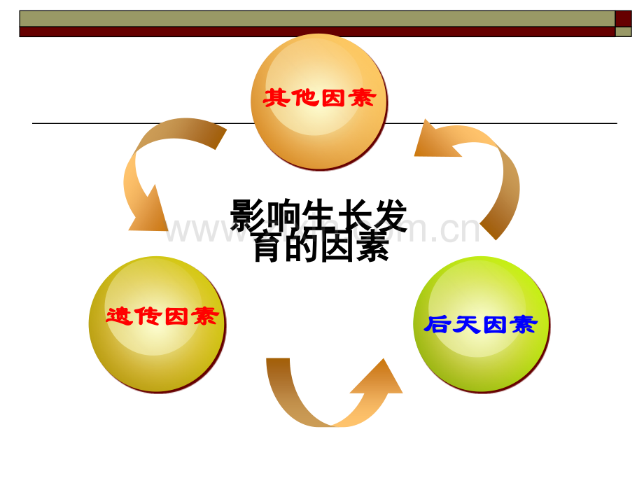 影响学前儿童生长发育的因素.pptx_第3页