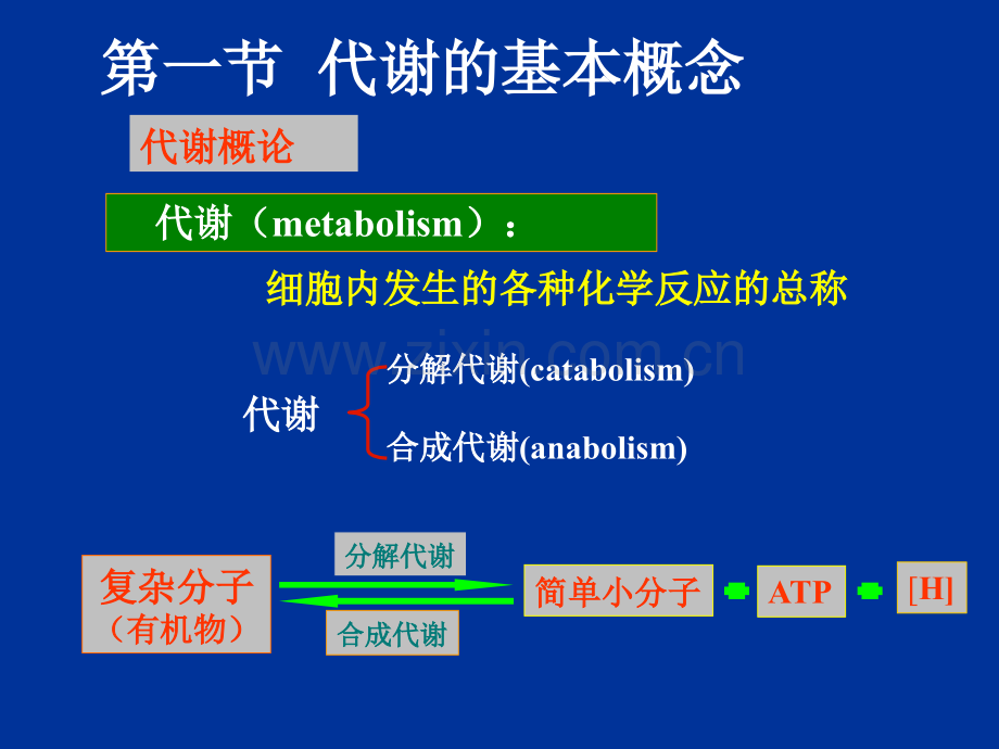 微生物的代谢A.pptx_第2页