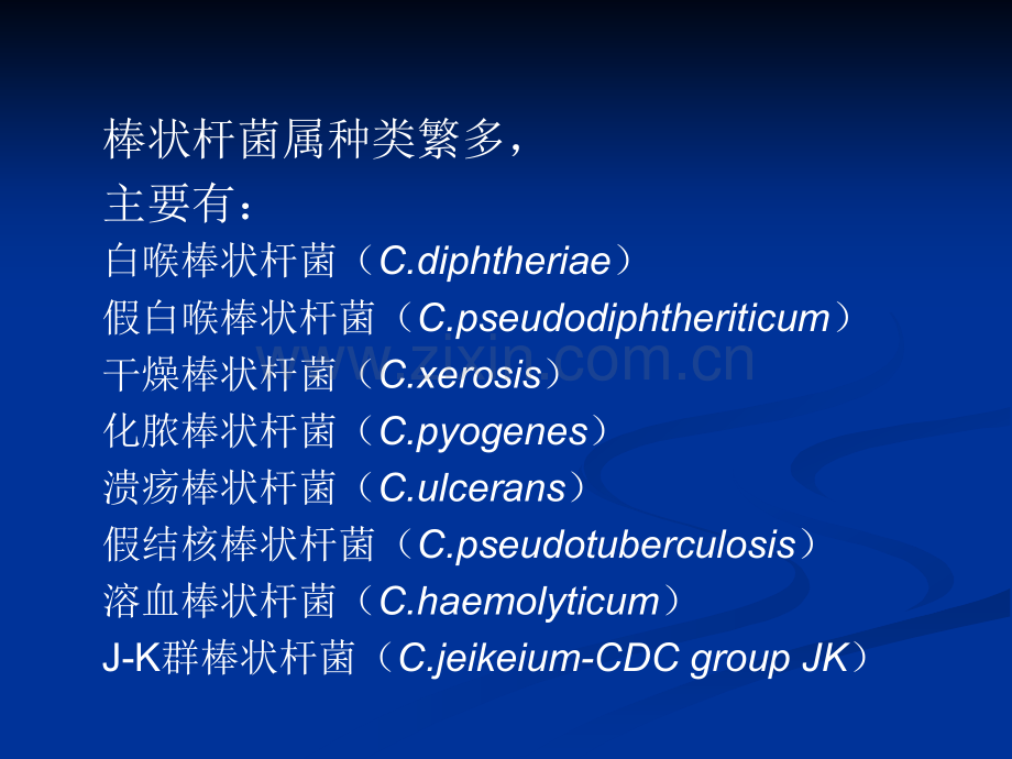 微生物检验14.pptx_第2页