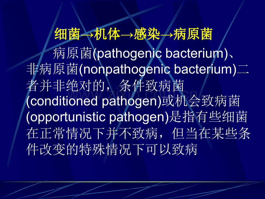 微生物的感染与免疫.pptx_第1页