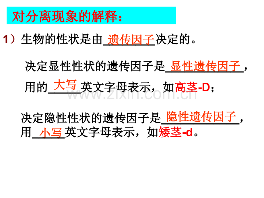 孟德尔的豌豆杂交实验一副本副本.pptx_第2页