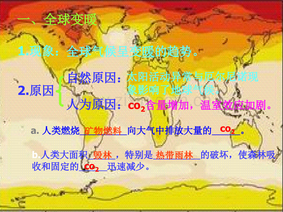 探究环境污染对生物的影响.pptx_第2页