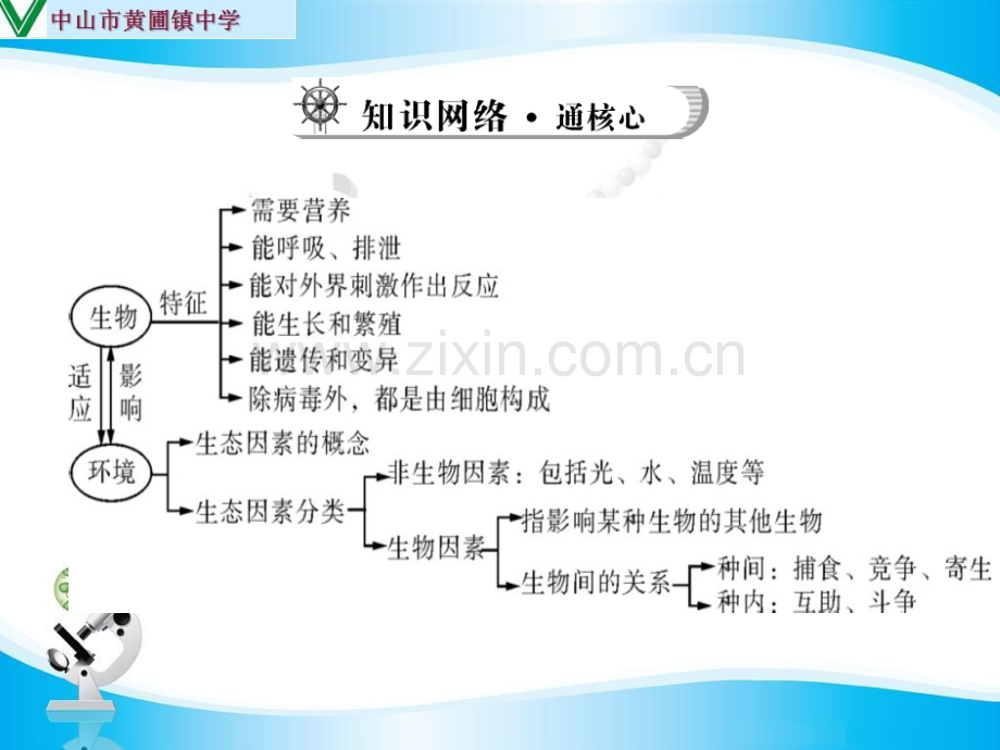 广东省人教版中考复习——生物和生物圈认识生物与环境.pptx_第3页