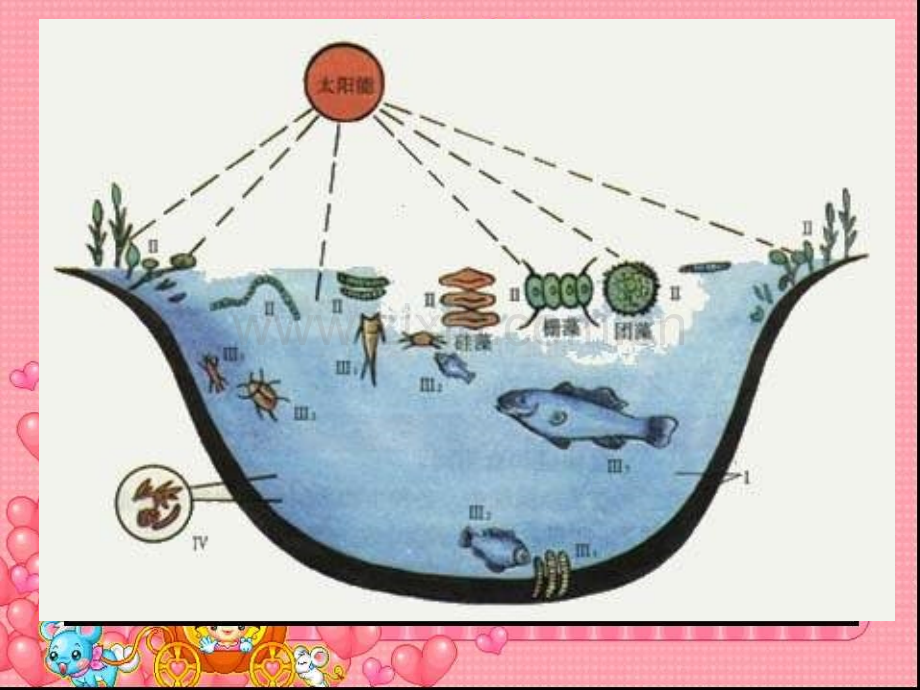 教科版五级科学上册做一个生态瓶.pptx_第2页