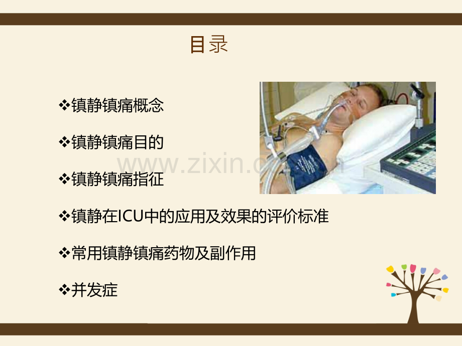 危重病人镇静与镇痛管理.pptx_第2页